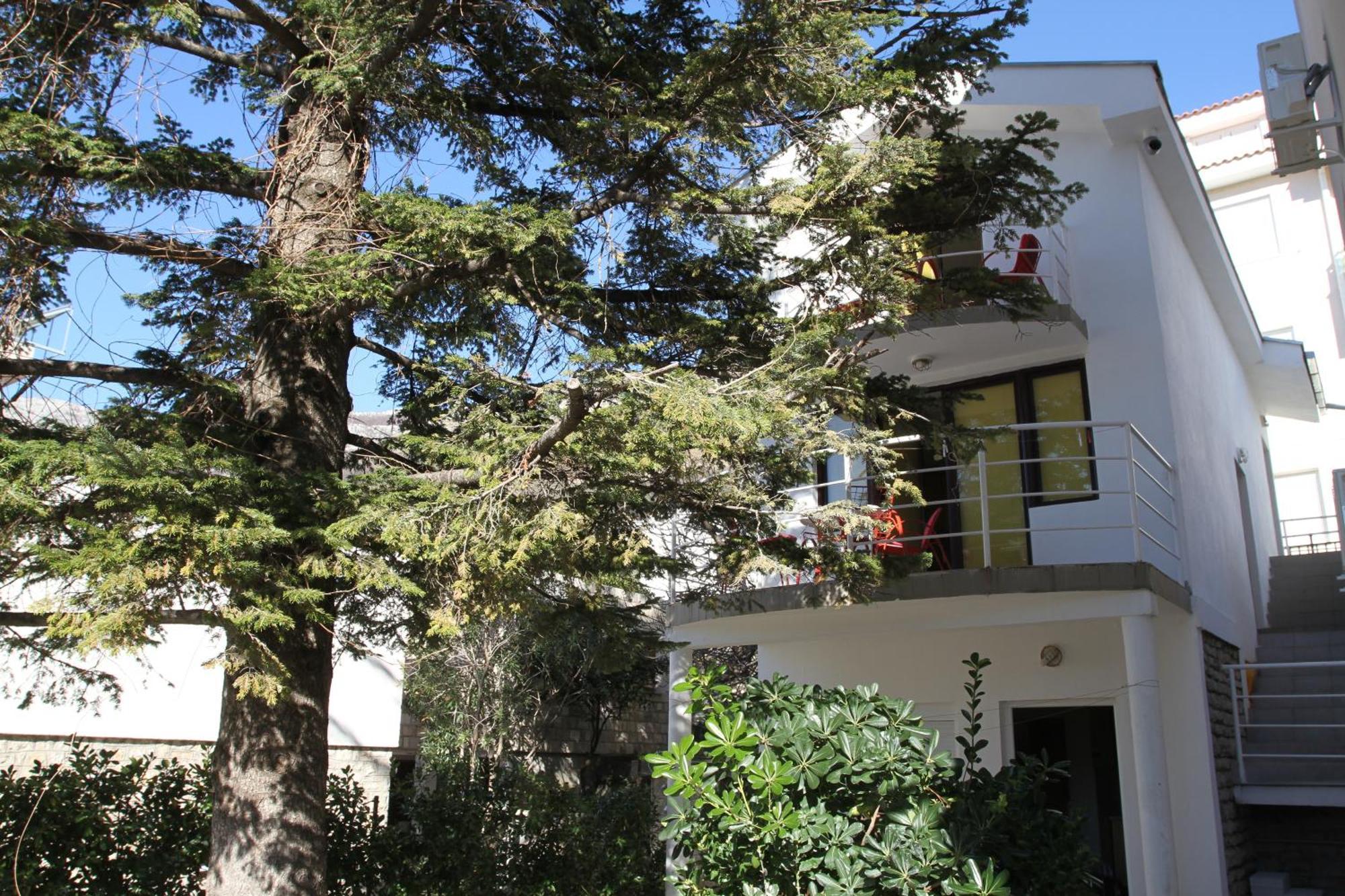 Petrovac Apartments Popovic מראה חיצוני תמונה